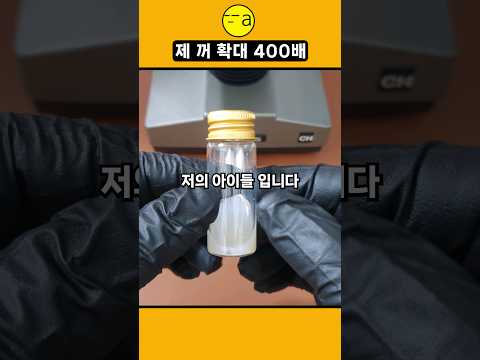 제 꺼 확대 400배 #현미경 #2024 #microscope #shortsvideo #shorts