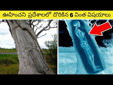 ఊహించని ప్రదేశాలలో దొరికిన 6 వింత విషయాలు ||Top 6 unexpected discoveries in telugu ||Facts vlogger