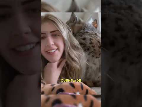 otra hermosa historia con final feliz... ve hasta el final