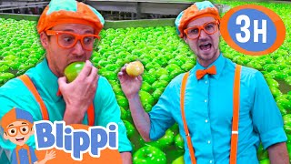 Blippi Learns HEALTHY EATING in an APPLE FACTORY! | Blippi and Meekah Best Friend Adventures