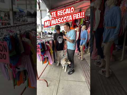 Parte 2: te regalo mi mascota si me dices su nombre!!π±β€οΈ #shorts #ayudasocial #mascotas