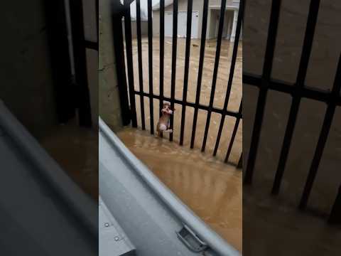 Phillies land All-Star closer Jhoan Duran ahead of MLB trade deadline