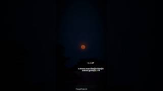~Something forever🌕I'll be obsessed with!!💜💫#youtubeshorts#shortsfeed#ytshorts#moon#love#shorts