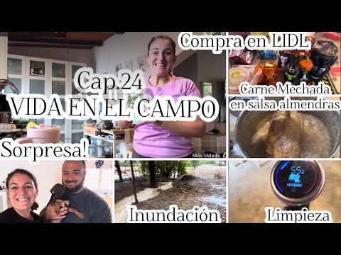 🍃Cap.24 VIDA EN EL CAMPO/🛒Compra LIDL/🌧️Fuertes LLUVIAS/Adoptamos PERRITA/CARNE MECHADA/Ultenic U20