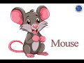 Identifying Animals in Video Content