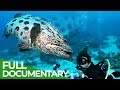 Exploring the Wonders of the Ocean