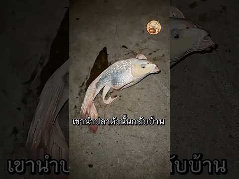ปลาหายากทำให้ชายคนหนึ่งกลายเป็นเศรษฐี #ไวรัล #สัตว์โลกน่ารัก #shorts