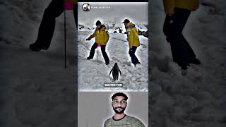 Respect animals 😎❤️ WhatsApp Status #shorts Billionaire Attitude Status🔥 #motivational #quotes