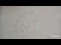 Food Chains and Ecosystem Dynamics