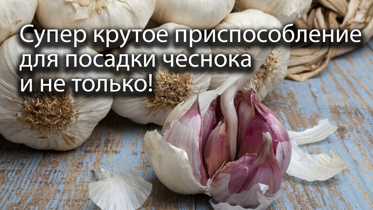 Супер крутое приспособление для посадки чеснока и других культур!