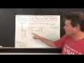 Spring-Mass System Concepts
