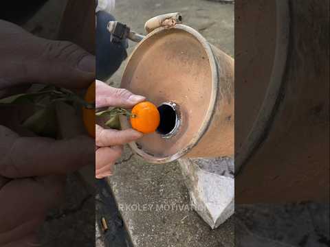 মা সন্তানদের জন্য সবকিছুই করতে পারে | #shorts #trending