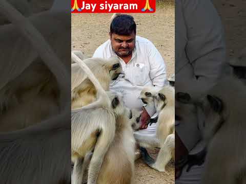 🙏 Jay Siyaram 🙏