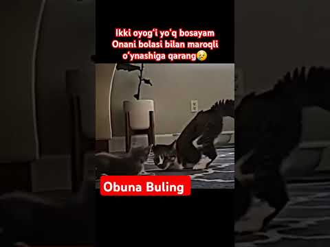 Oxirigacha koring #rek #uzb #uzbeklar #rekda #nuriddindomla #rekuzbek #uzbekistan #ozbek #uzbeki