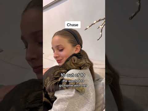 MILLIE’S REACTION 🤣  #shorts