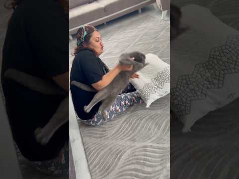 Evdeki Mental Sağlığımız #eğlence #heyecan #komik #evcilhayvan