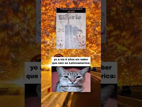 Cuando nieva? 😂 #banaraslitfest #gataonly