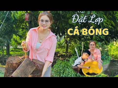 Đặt Lợp Cá Bóng Dừa Trúng Ổ Cá Lớn