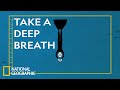Freediving and the Mammalian Dive Reflex