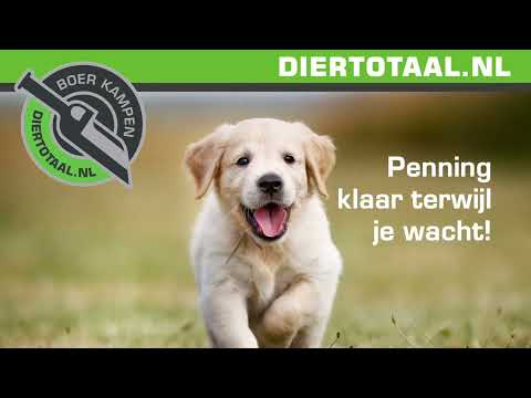Penning Glamour Botje L Zilver