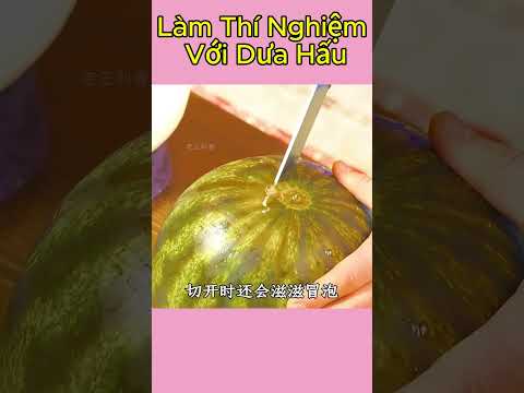 Làm Thí Nghiệm Với Dưa Hấu