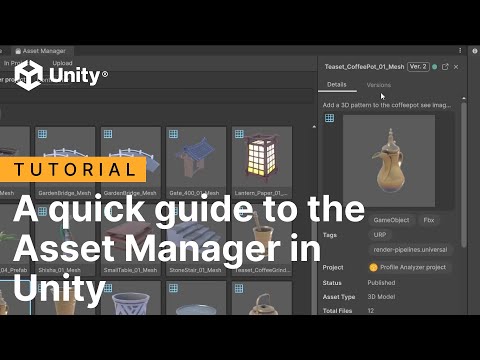 A quick guide to the Asset Manager in Unity