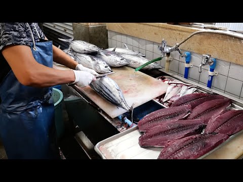 Japanese Food - The BEST BONITO SASHIMI in Kochi! Tanaka Fish Store Tosa Kure seafood Japan