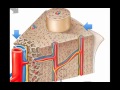 Bone Structure and Function Concepts