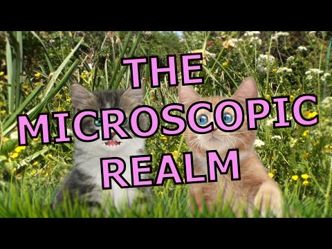 The Microscopic Realm - Rathergood Chat episode 54