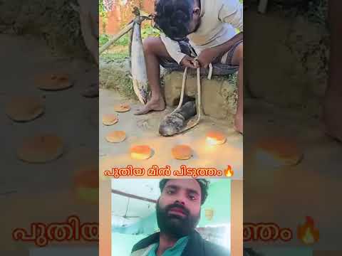 പുതിയ മീൻ പിടുത്തം #mallutraveler#fishingfreaks#shorts#mallu#malayalam#m4tech