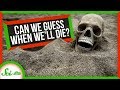 Understanding the Doomsday Argument