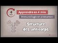Antibody Structure and Function