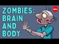 Understanding Brain Functions and Disorders