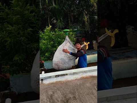 হেলিকপ্টার #funny #trending #viral #foryou