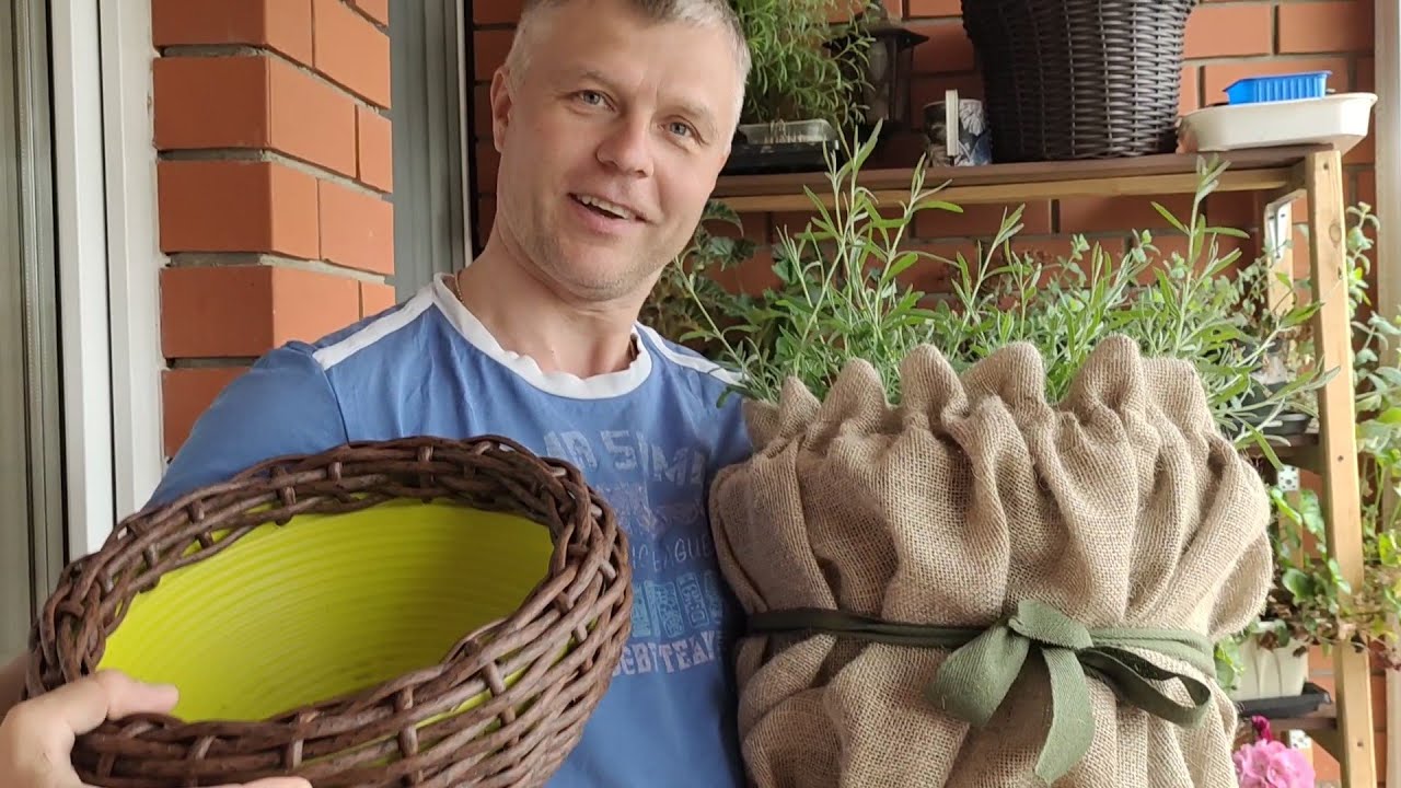 Какое кашпо лучше Неожиданный обзор сада и новости с полей!