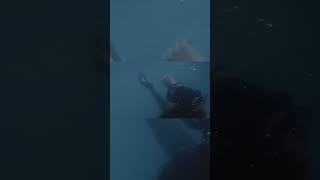 BANKS - Stay (Official Video Short)