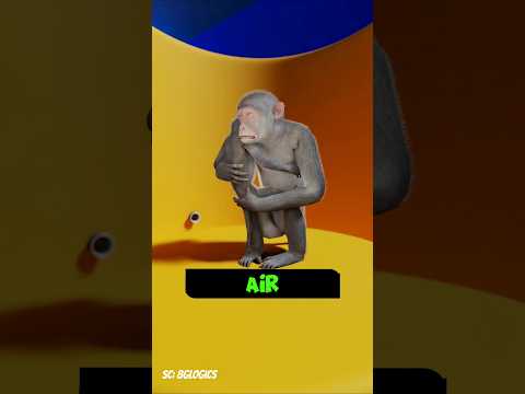 monyet ini terjebak di toren air #shorts