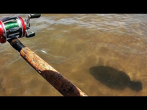 PESCA DEL LENGUADO NEGRO, EL MÁS EXQUISITO DE TODOS