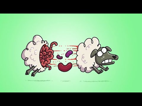 Counting Sheep Nightmare | Animated Memes | Hilarious Animated Compilations
