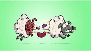 Counting Sheep Nightmare | Animated Memes | Hilarious Animated Compilations