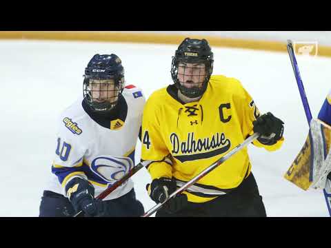 2023-24 Women's Hockey Season Highlights thumbnail