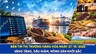 Video: Bản tin thị trường hàng hóa ngày 27/10/2026: Vàng tăng, dầu giảm, nông sản khởi sắc