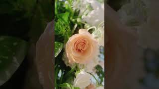 Diann & Bekim wedding decor - Aruba Wedding