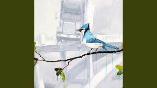 Me and Matt's Golden Husks