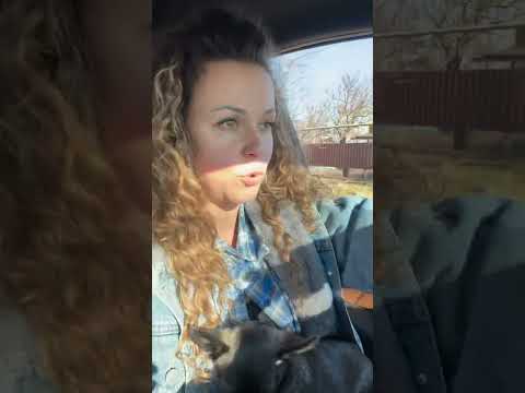 #garden #жизньзагородом #рецепты #огород #shorts #petrovchanka_lera #petrovchanka