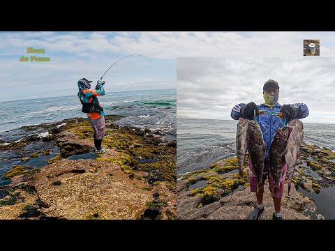 Salieron muchas cabrillas de todo tamaño. || Fishing for goatfish