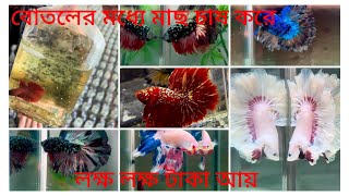 বোতলের মধ্যে মাছ চাষ||লক্ষ লক্ষ বৈদেশিক মুদ্রা অর্জন||Amazing fish farming|