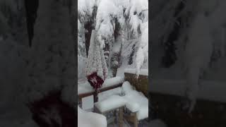 March. 13, 2018