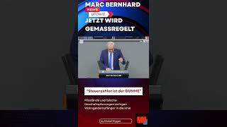 Steuerzahler sind die Dummen Marc Bernhard AfD