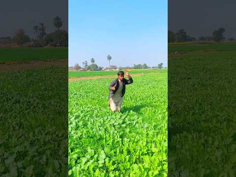 Masoom baby per Allah ki madad#viralmovie#ytviral#ytshort#ytreel#india#paksitan#uk